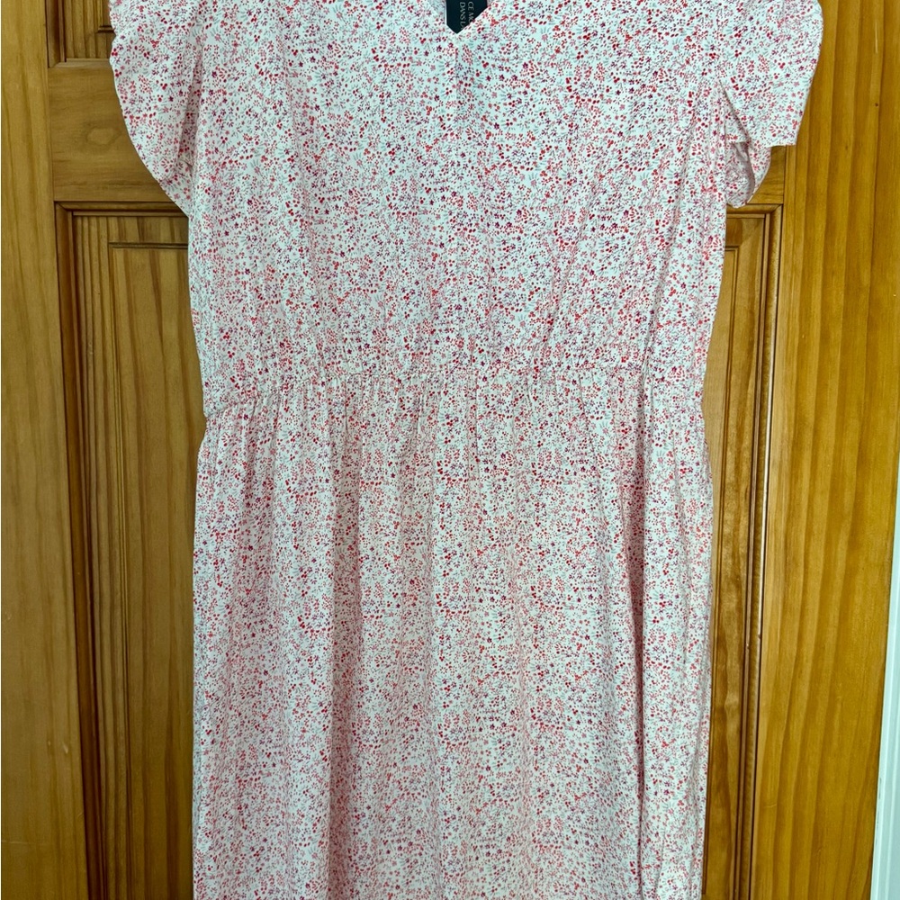 Banana Republic Floral Pink Dress